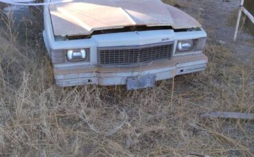 Chevy-monte-carlo-1979-white-4
