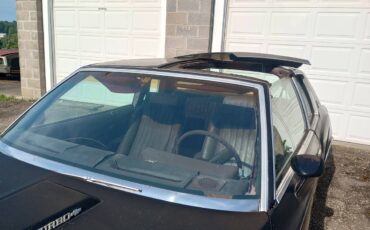 Chevy-monte-carlo-1980-black