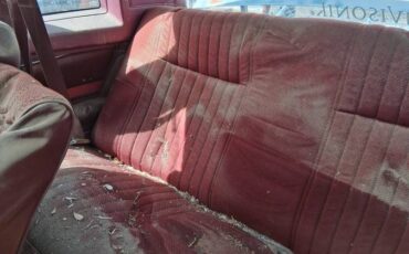 Chevy-monte-carlo-1981-10