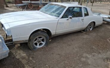 Chevy-monte-carlo-1981-11