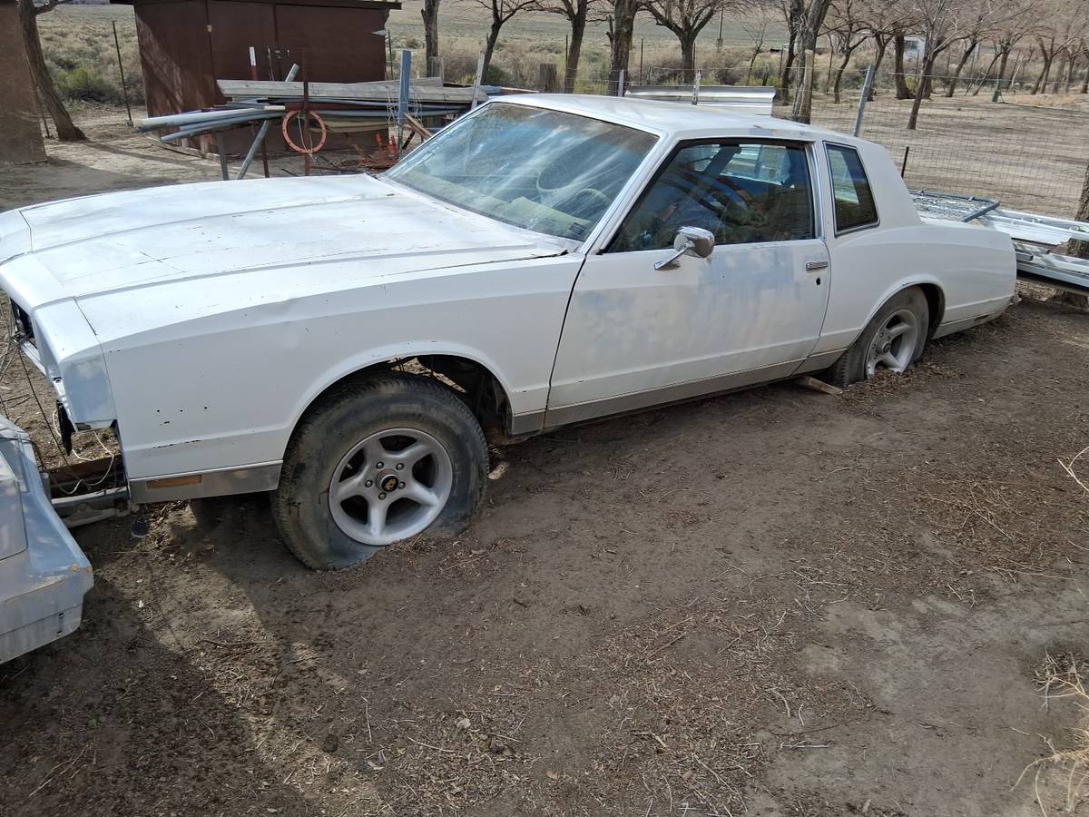 Chevy-monte-carlo-1981-11