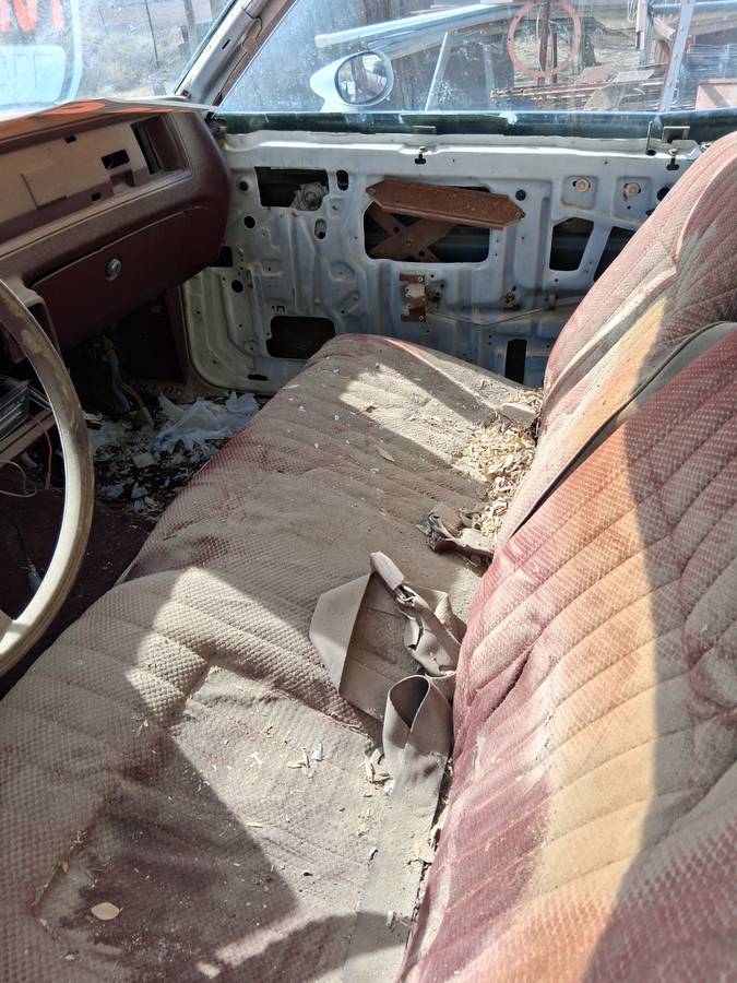 Chevy-monte-carlo-1981-13