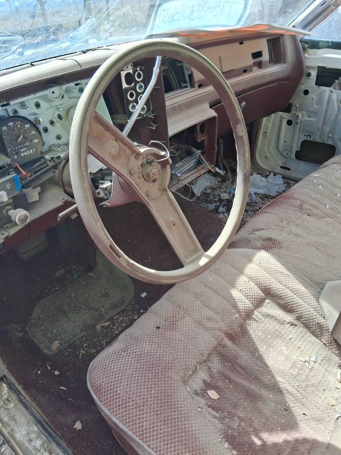 Chevy-monte-carlo-1981-14