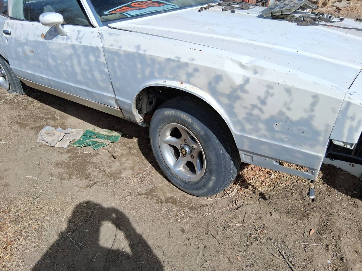 Chevy-monte-carlo-1981-4