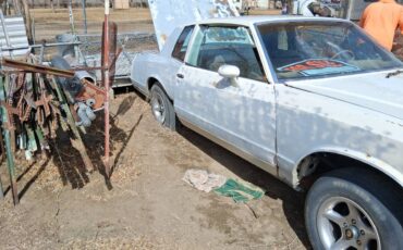Chevy-monte-carlo-1981-5