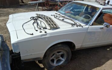 Chevy-monte-carlo-1981-7