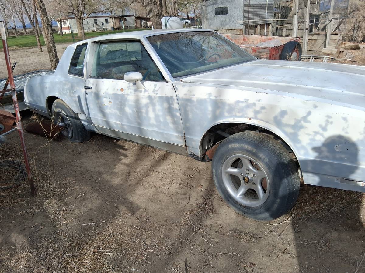 Chevy-monte-carlo-1981