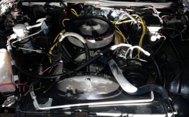 Chevy-monte-carlo-1985-9