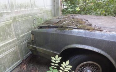 Chevy-monte-carlo-ls-1987-grey-11