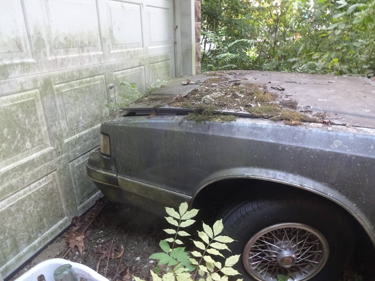 Chevy-monte-carlo-ls-1987-grey-11