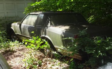 Chevy-monte-carlo-ls-1987-grey-5