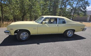 Chevy-nova-ss-1974-yellow