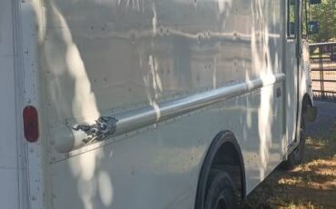 Chevy-p30-1995-white-2