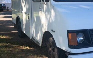 Chevy-p30-1995-white-7