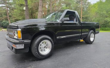 Chevy-s10-1991-1