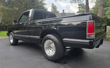 Chevy-s10-1991-3