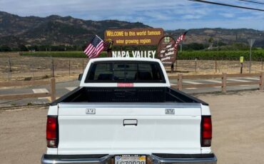 Chevy-s10-1991-white-5