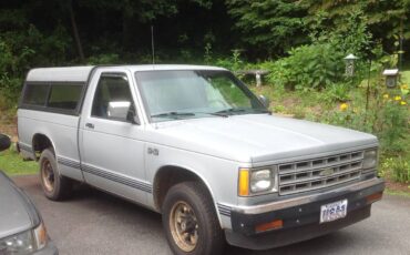 Chevy-s10-pickup-1984-grey