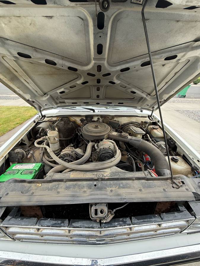 Chevy-s10-pickup-1986-white-11