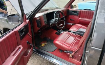 Chevy-s10-pickup-1987-grey-3