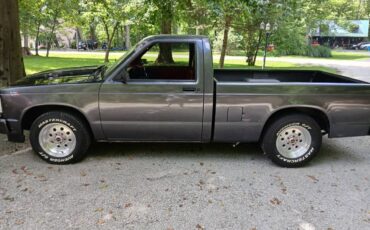 Chevy-s10-pickup-1987-grey
