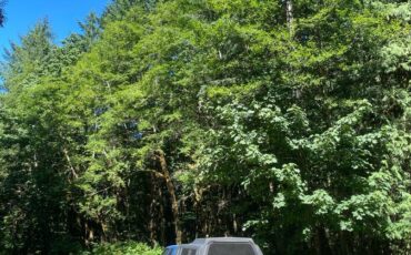 Chevy-s10-pickup-1991-blue-5
