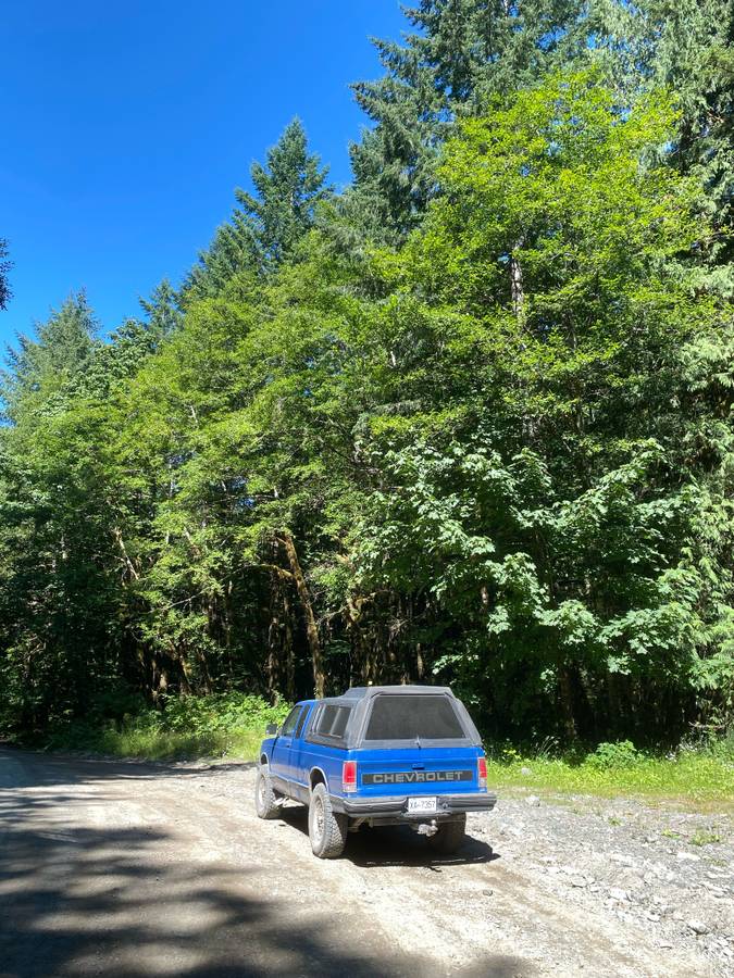 Chevy-s10-pickup-1991-blue-5
