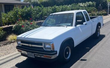 Chevy-s10-pickup-1991-white