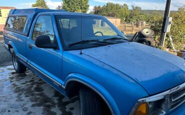 Chevy-s10-pickup-1994-blue-6