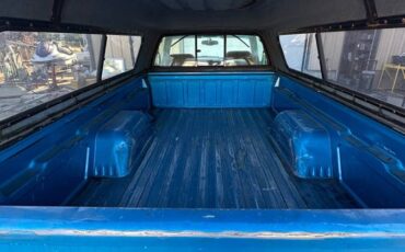 Chevy-s10-pickup-1994-blue-7
