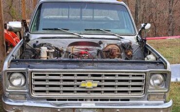 Chevy-scottsdal-1976-grey