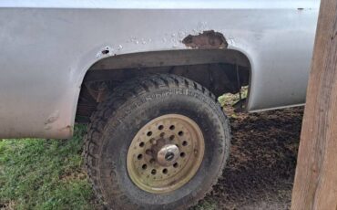 Chevy-scottsdal-1976-grey-4