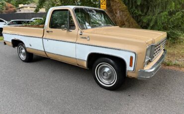 Chevy-scottsdale-1975-white-1