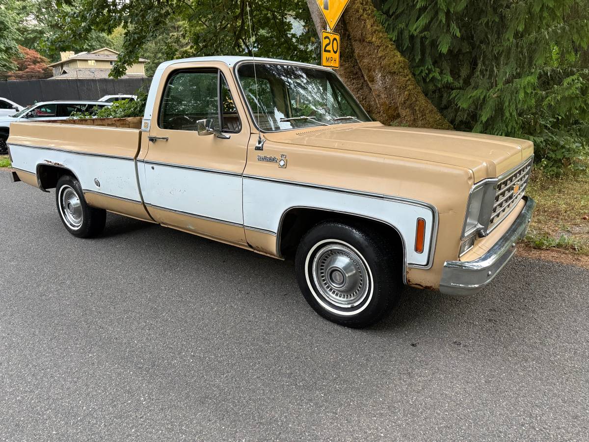 Chevy-scottsdale-1975-white-1