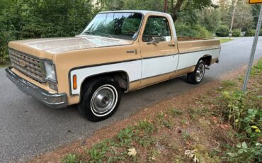 Chevy-scottsdale-1975-white