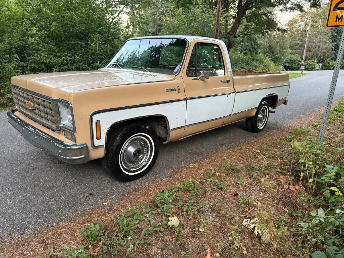 Chevy-scottsdale-1975-white