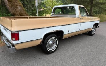 Chevy-scottsdale-1975-white-2