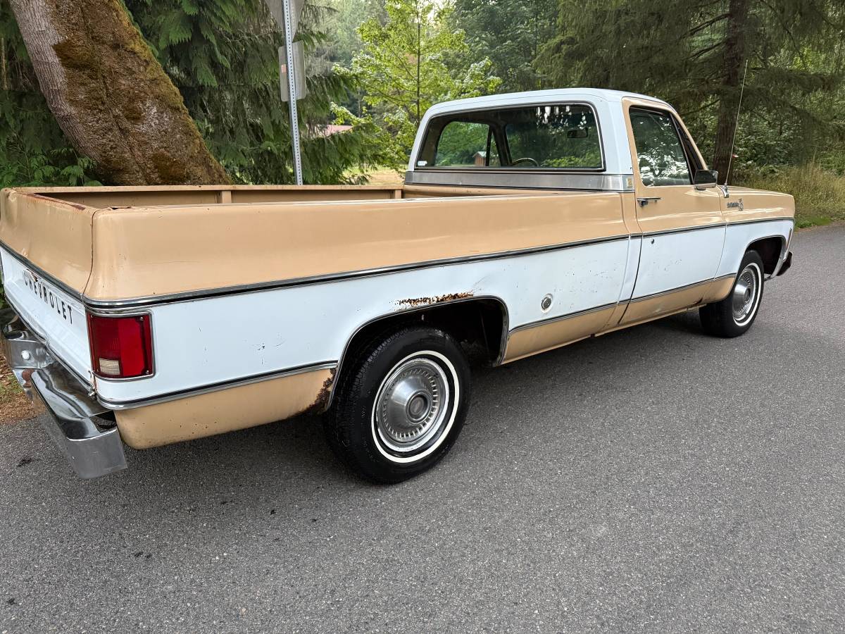 Chevy-scottsdale-1975-white-2