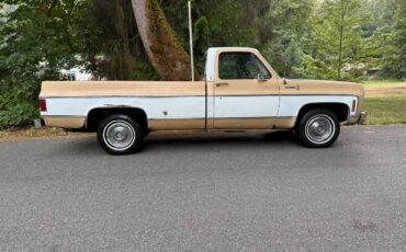 Chevy-scottsdale-1975-white-3
