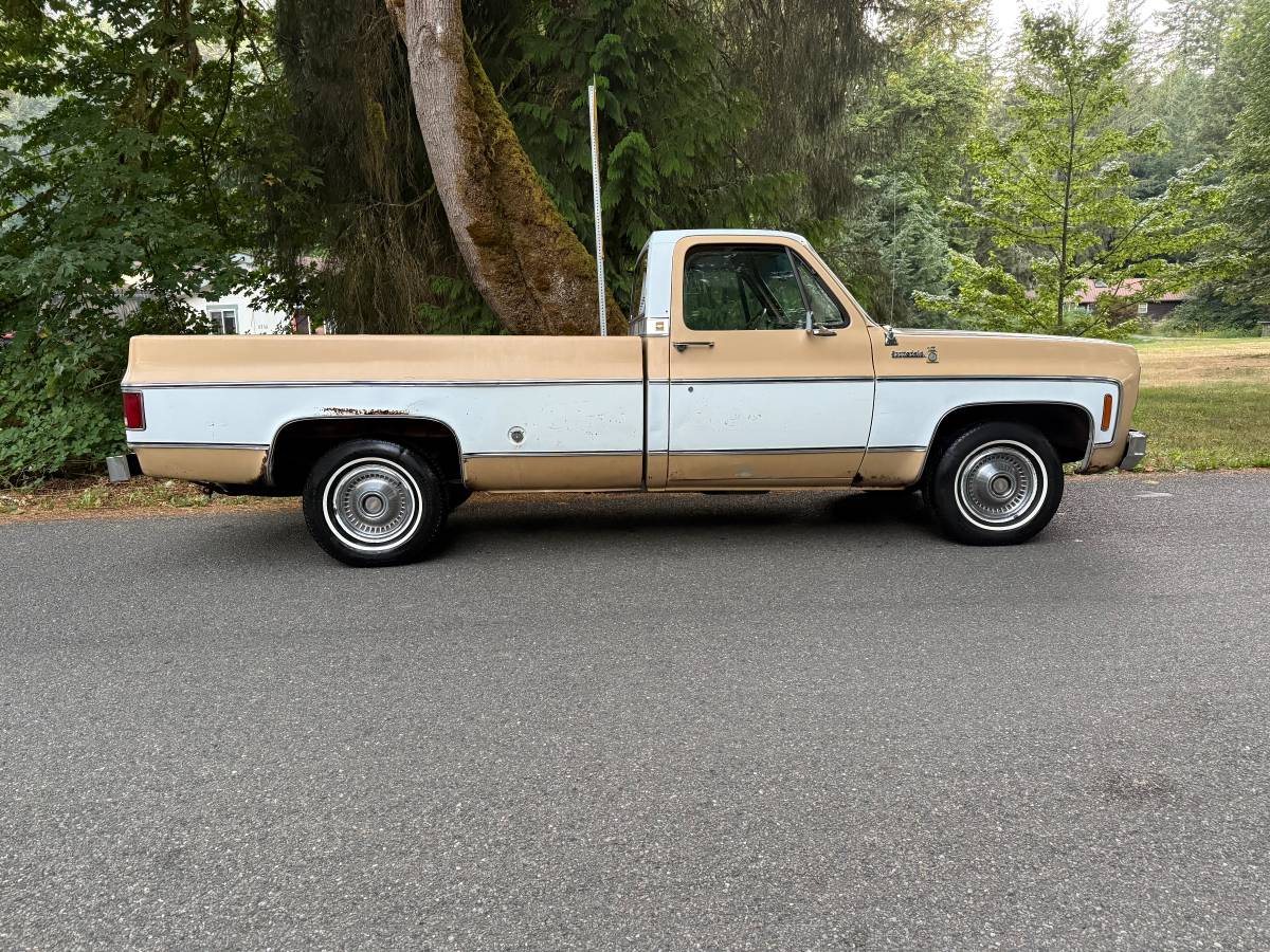 Chevy-scottsdale-1975-white-3