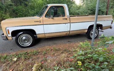 Chevy-scottsdale-1975-white-4