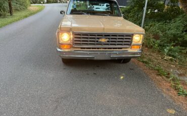 Chevy-scottsdale-1975-white-5