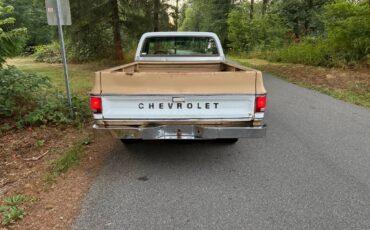 Chevy-scottsdale-1975-white-6
