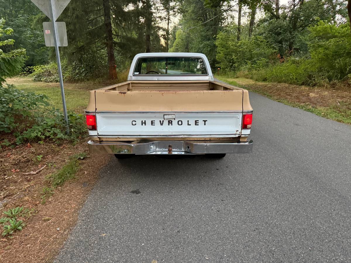 Chevy-scottsdale-1975-white-6