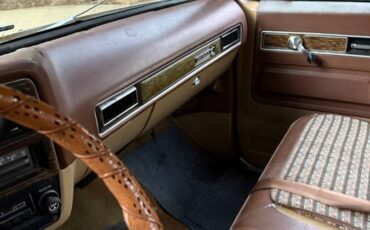 Chevy-scottsdale-1975-white-8