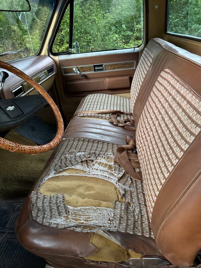 Chevy-scottsdale-1975-white-9