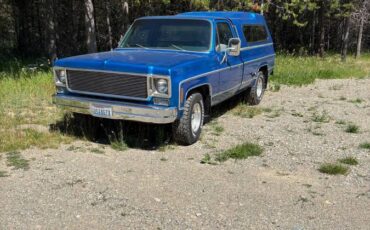 Chevy-scottsdale-1978-blue-1