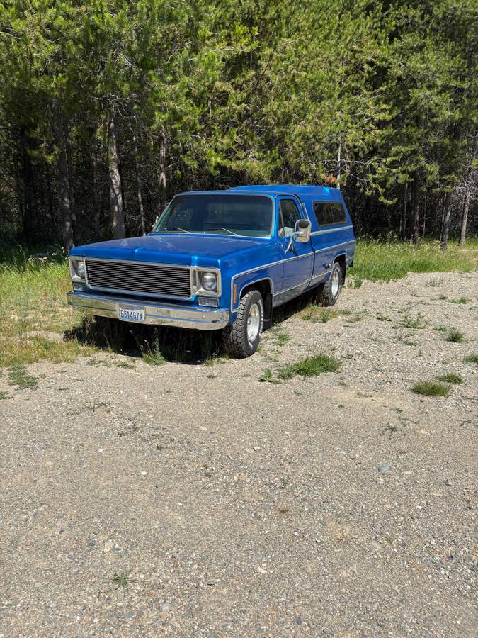 Chevy-scottsdale-1978-blue-1