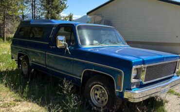 Chevy-scottsdale-1978-blue-2