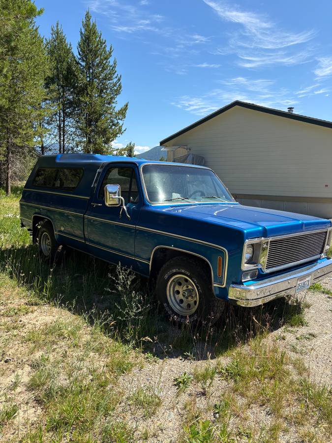 Chevy-scottsdale-1978-blue-2